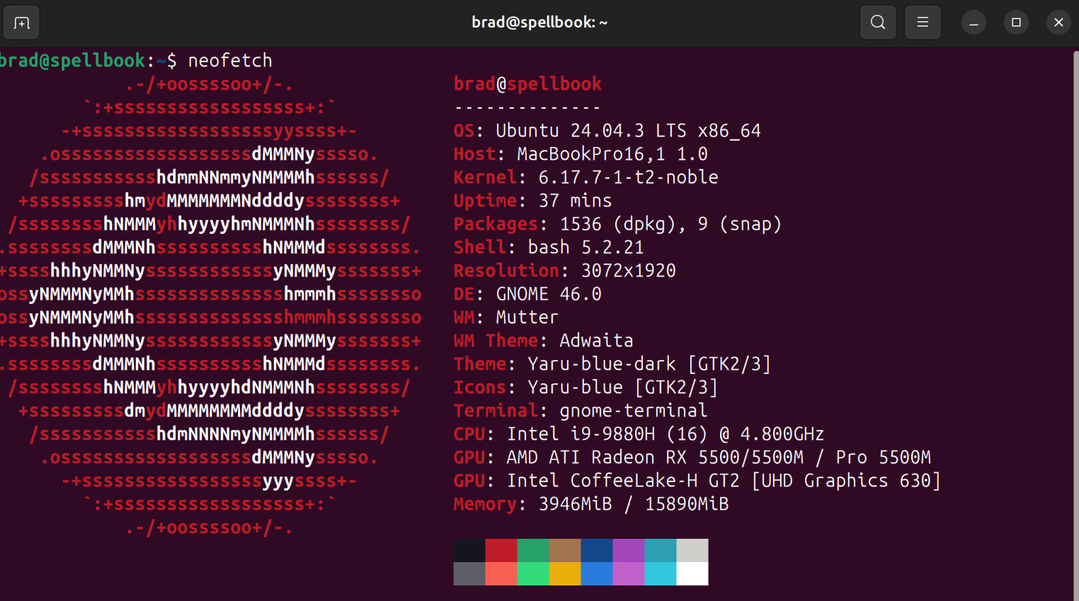 Linux on Macbook Pro T2.png